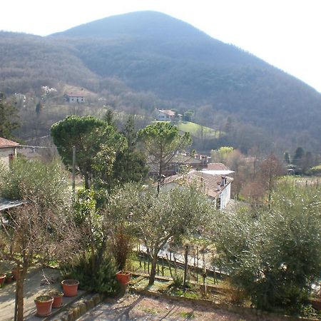 Locanda-Trattoria Al Rio Cinto Euganeo 외부 사진